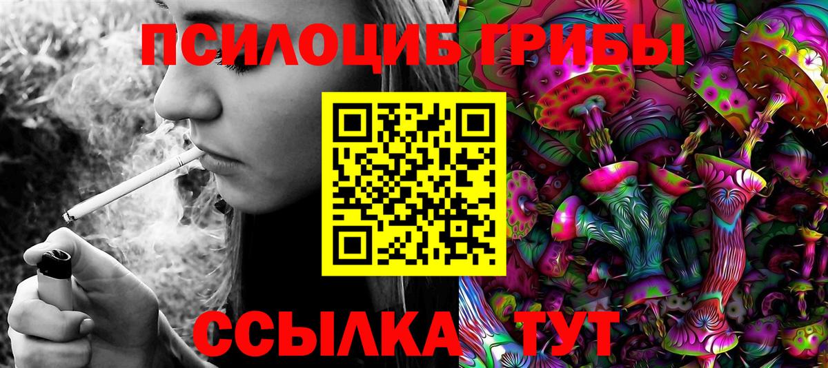 Галлюциногенные грибы Magic Shrooms  купить наркотики цена  Советск  Псилоцибиновые грибы прущие грибы  Вход с VPN 