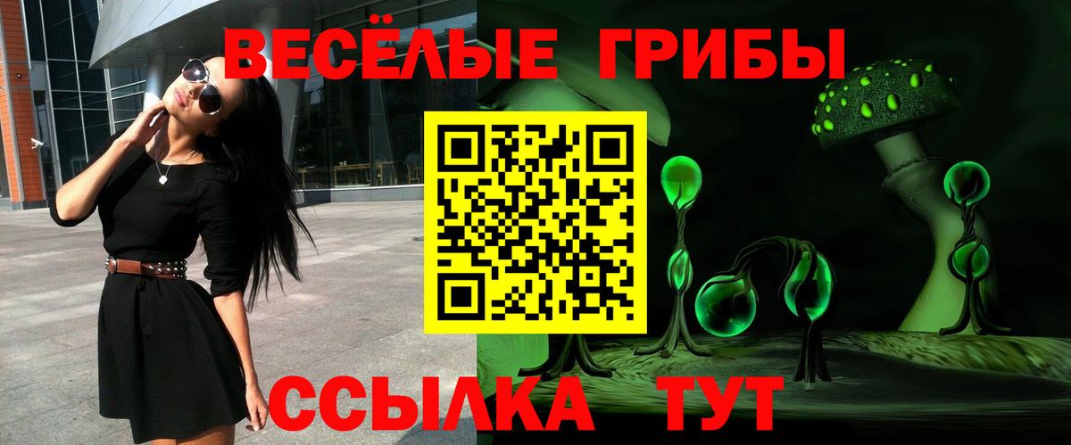 Галлюциногенные грибы Psilocybe Советск